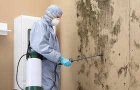 Best Forensic Mold Investigation  in Brooklyn Park, MD